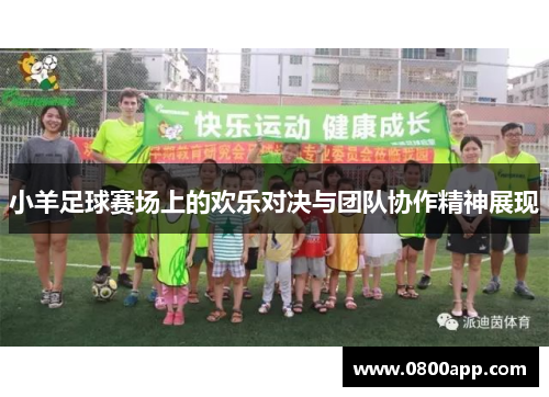 小羊足球赛场上的欢乐对决与团队协作精神展现